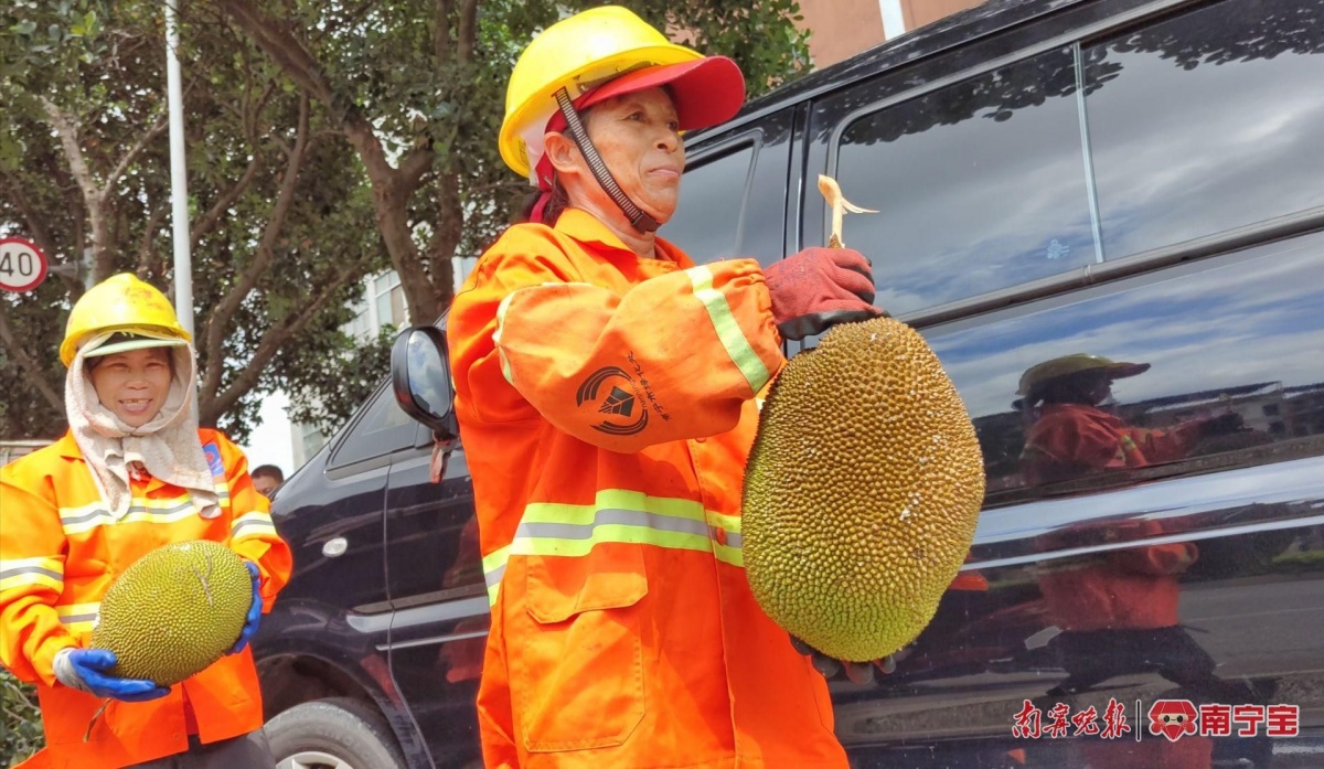 南宁路边绿化树的果能摘来天博 天博综合体育吃吗？有关部门提醒……(图2)