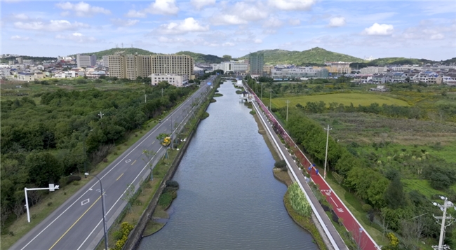 天博浙江舟山：绿满衢山美镇新姿——衢山镇全力构建城镇景观绿化新风貌(图2)