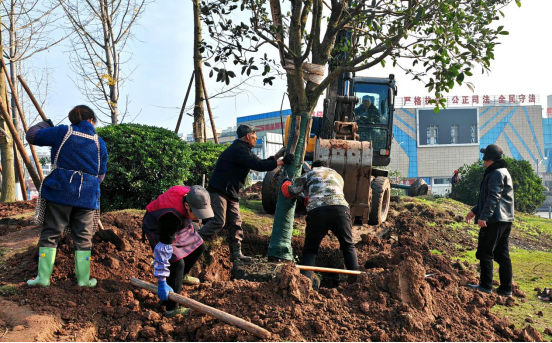 邻水县：绿化美化亮化 街天博道提档城市提质(图2)